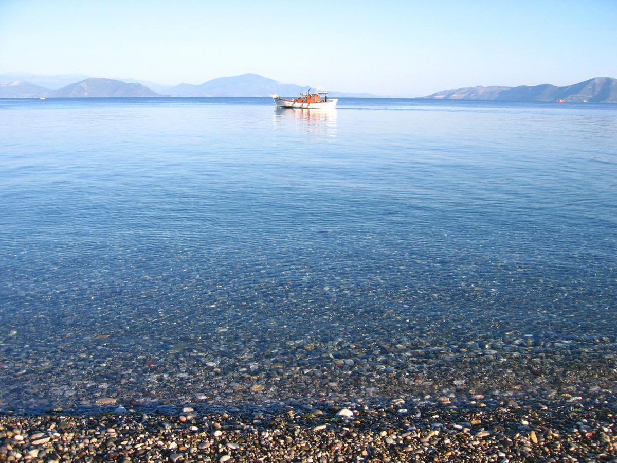 Aparthotel Island Pefki  Exterior foto
